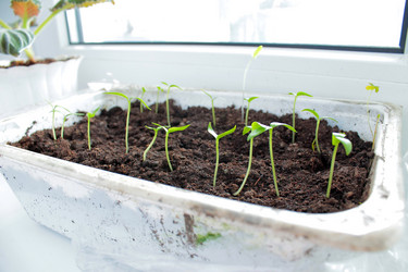 Similar image 10917572