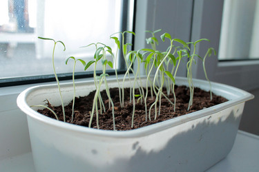 Similar image 10917574