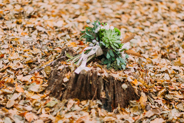 Similar image 10938351