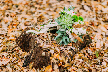 Similar image 10938352