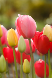 Similar image 10919562