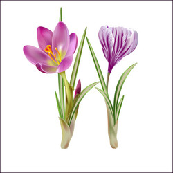 Similar image 10917358