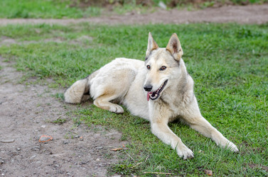 Similar image 10917402