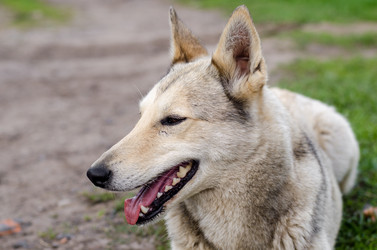 Similar image 10917414