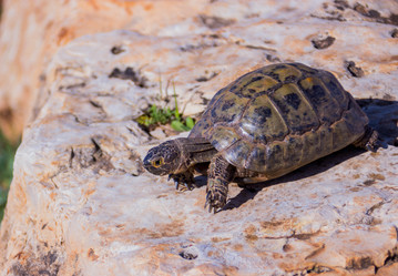 Similar image 10917519