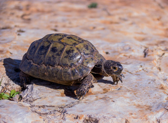 Similar image 10917521