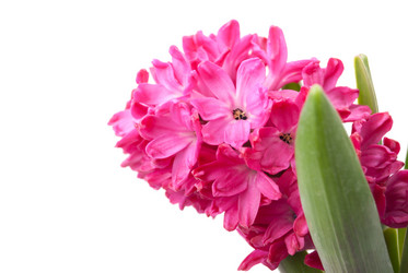 Similar image 10920744