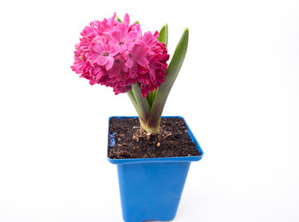 Similar image 10920748