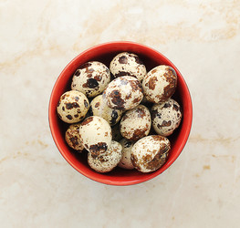 Similar image 10921544