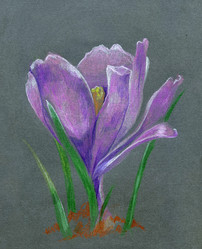 Similar image 10954514