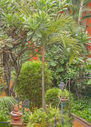 Similar image 10917606