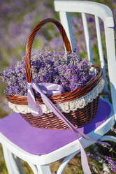 Similar image 10918712