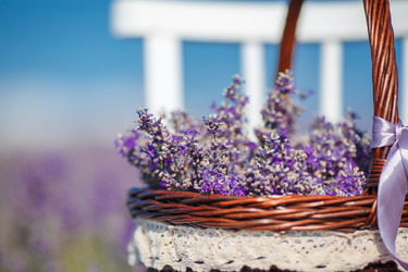 Similar image 10918714