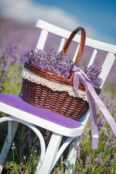 Similar image 10918715