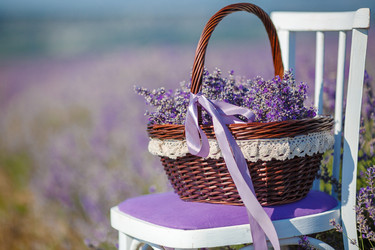 Similar image 10918716