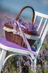 Similar image 10918717