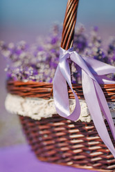 Similar image 10918719