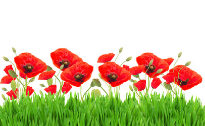 Similar image 10921017