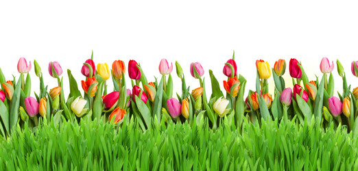 Similar image 10921019