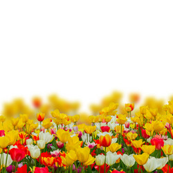 Similar image 10921024