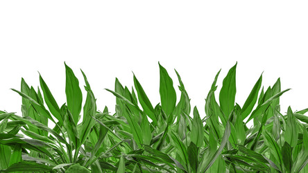 Similar image 10917611