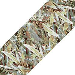 Similar image 10917617