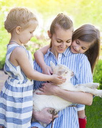 Similar image 10920129