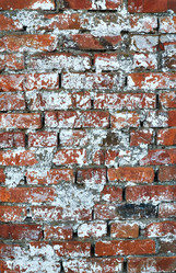 Similar image 10917486