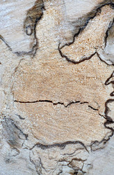 Similar image 10917492