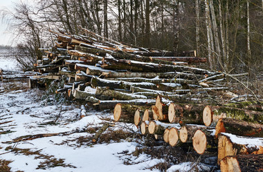 Similar image 10917495