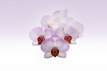 Similar image 10930241