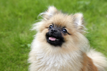 Similar image 10930243