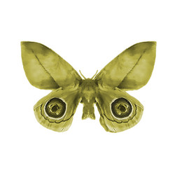 Similar image 10917620