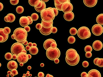 Similar image 10917829