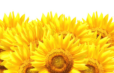 Similar image 10935832