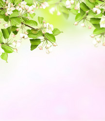 Similar image 10935842