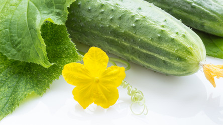 Similar image 10925517