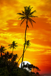 Similar image 10918754