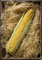 Similar image 10919329