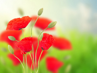 Similar image 10921026