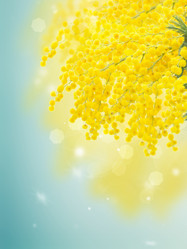 Similar image 10921040