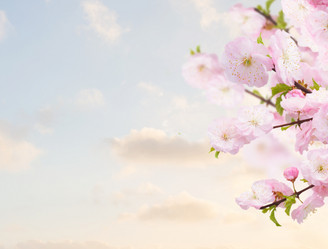 Similar image 10921042