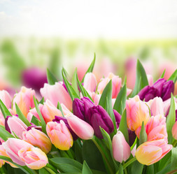 Similar image 10921043