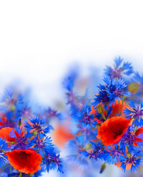 Similar image 10921044