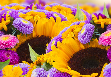 Similar image 10921045