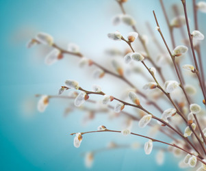 Similar image 10921047