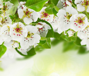 Similar image 10921057