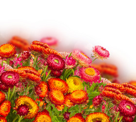 Similar image 10921063