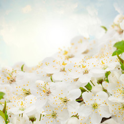 Similar image 10921066