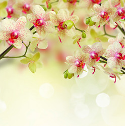 Similar image 10921068